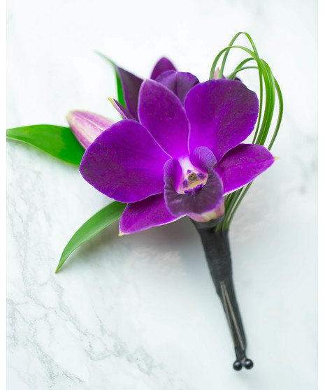 Paradise Orchid Boutonniere