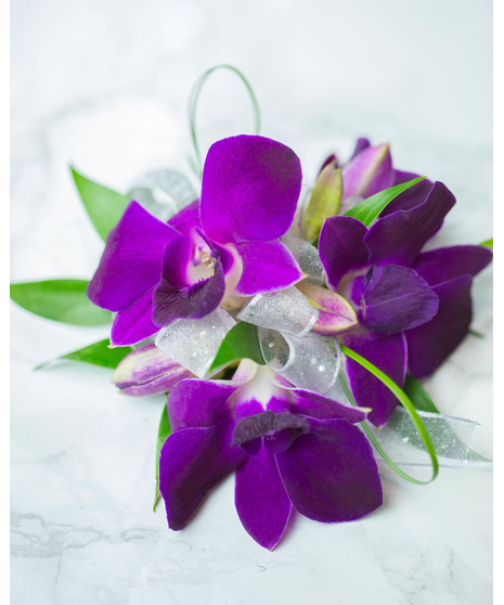 Paradise Orchid Corsage