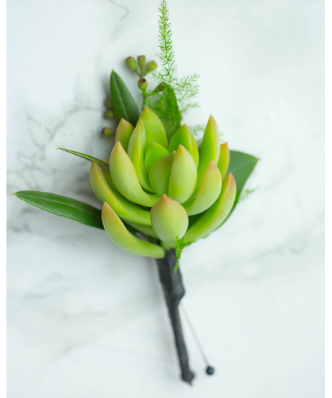 Succulent Boutonniere