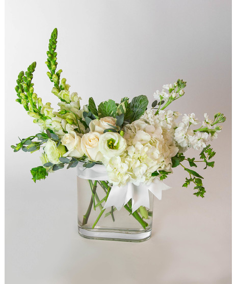 beautiful ivory floral including hydrangea, snapdragons, roses, lisianthus and more, designed in a contemporary thin glass vase and tied with a satin ivory bow