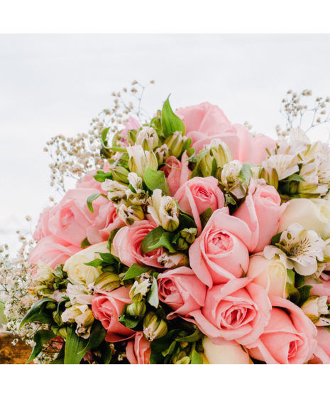 3 Dozen long stem wrapped rose bouquet tied with a ribbon