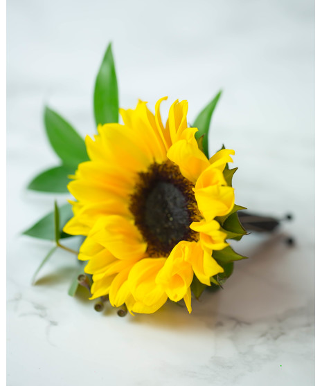 Perfect for Prom or Homecoming! This traditional boutonniere of italian ruscus, and an elegant white rose is the perfect accessory to your special day.