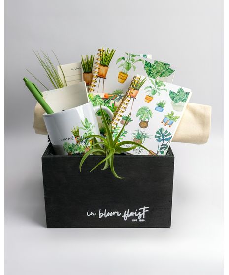 Elevate your indoor greenery game with these adorable plant arrangements, perfectly nestled within stylish ceramic mugs. 