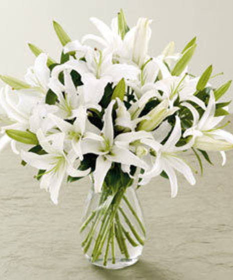 Casablanca Lilies